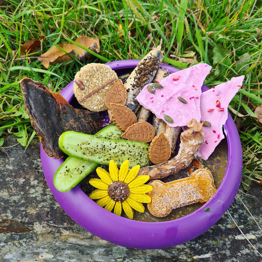 Enrichment ideas for dogs with @BADGER_BORDER_COLLIE